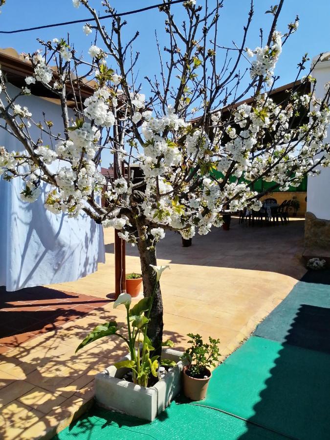 Conjunto Rural Andrea Guest House Moriles Bagian luar foto